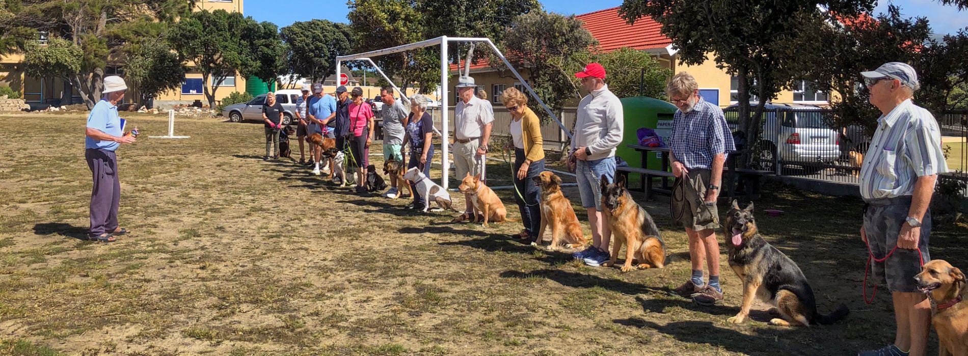 Dog-training-header